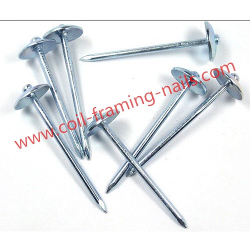 Coil roofing nails | China Coil roofing nails manufacturer factory